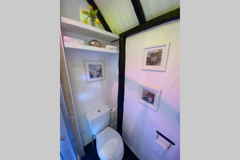 Windsor/ascot/bracknell Beautiful Barn Apartment Bracknell
