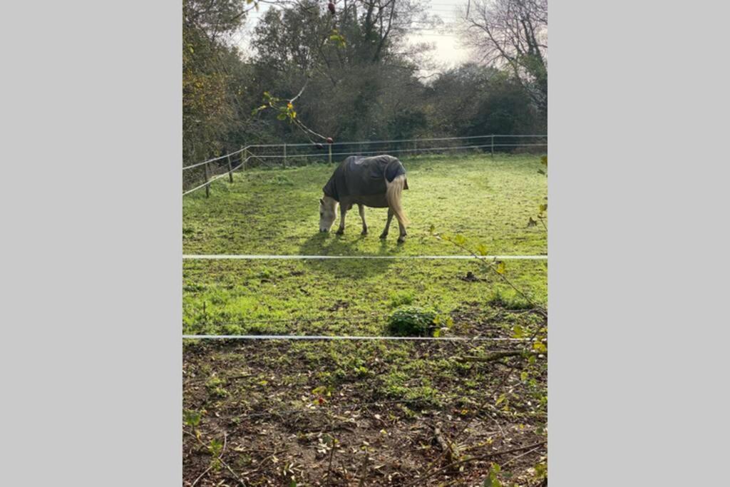 Apartment Windsor/ascot/bracknell Beautiful Barn *